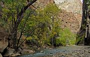 Zion - The Narrows 4982